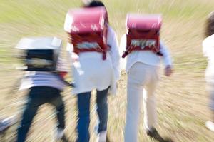 発達障害を持つ子供のための学習支援完全ガイド：効果的な勉強法とリソースの活用法